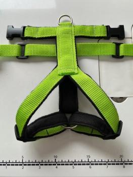 Preview: Welpengeschirr - grün/schwarz